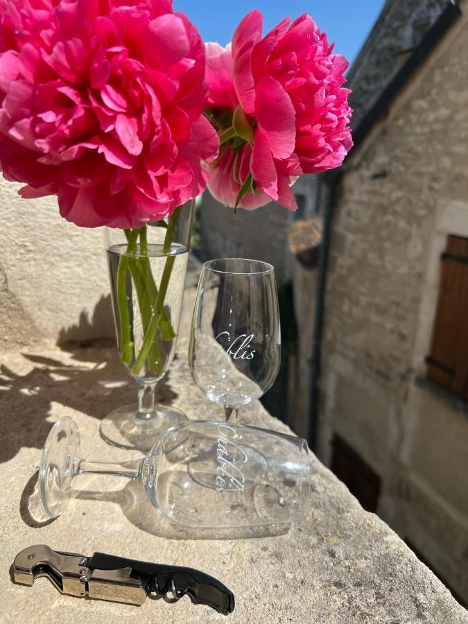 La Maison D'Alienor - Gites De Caractere A Chablis - 89 المظهر الخارجي الصورة